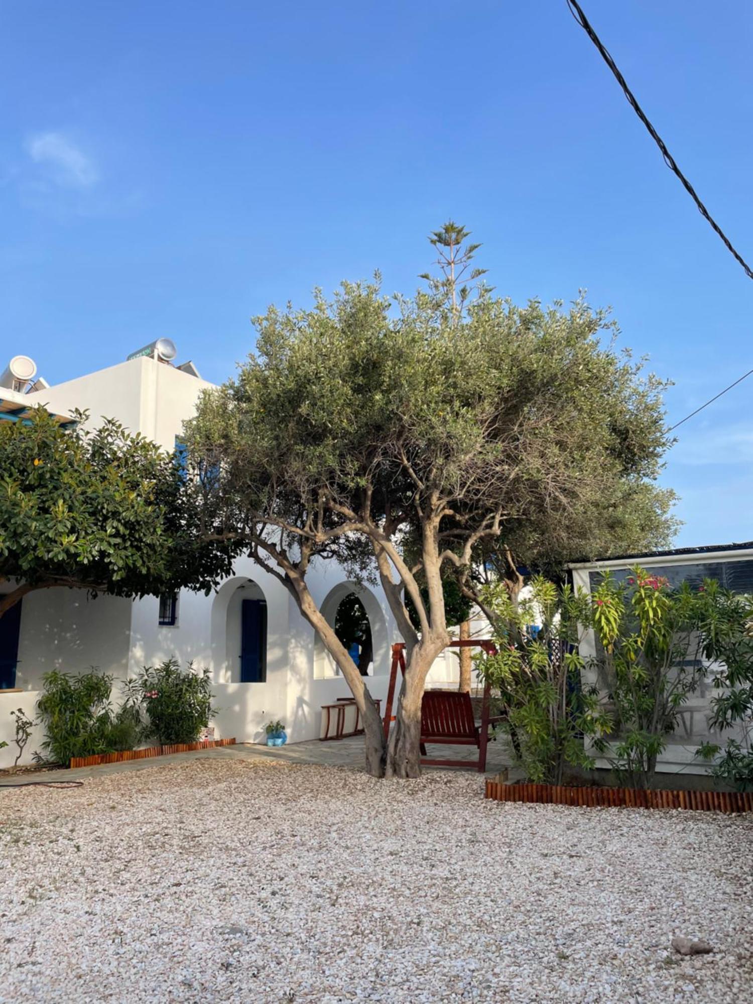 Villa Gelly'S Studios Aliki  Ngoại thất bức ảnh